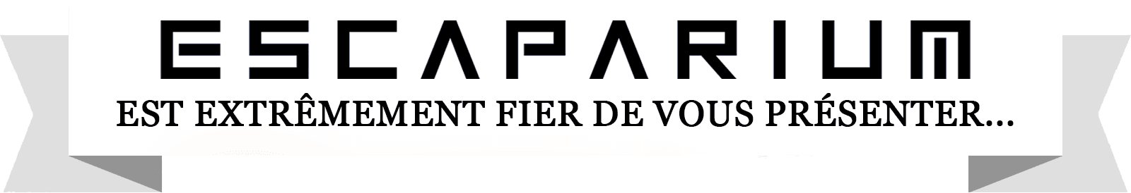 Promo Banner